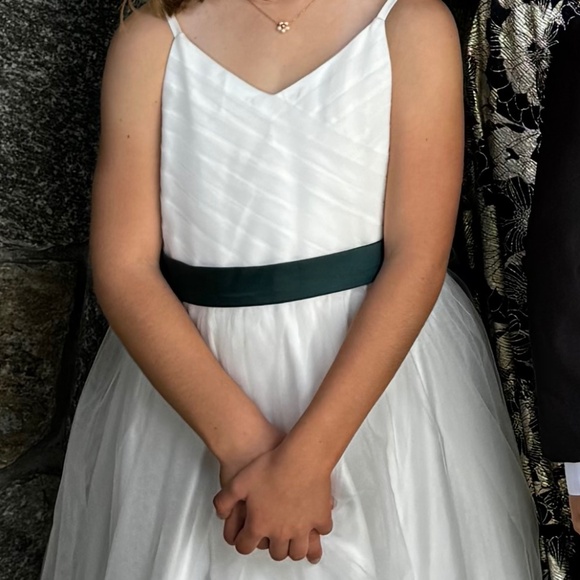 Flower Girl/Special Occasion Dress - Picture 3 of 8